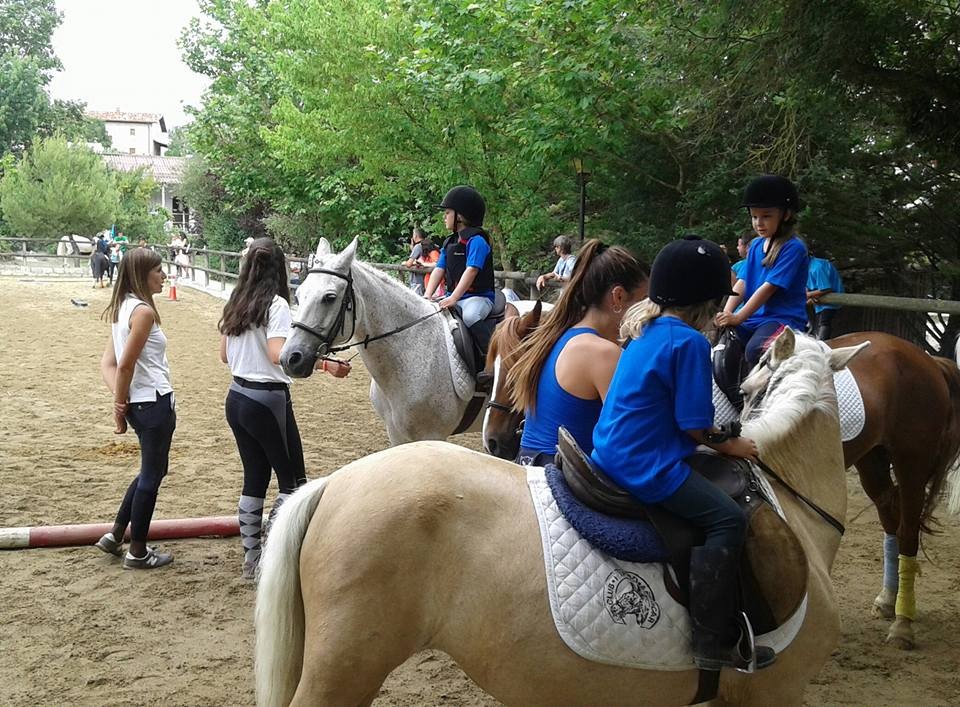 II. Campeonato Navarro Ponigames en Añezcar